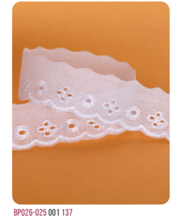Bordado Inglês BP026 -2,5cm x13,7m branco